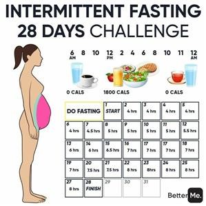 Ketogenic Diet Beginner Meal Plan